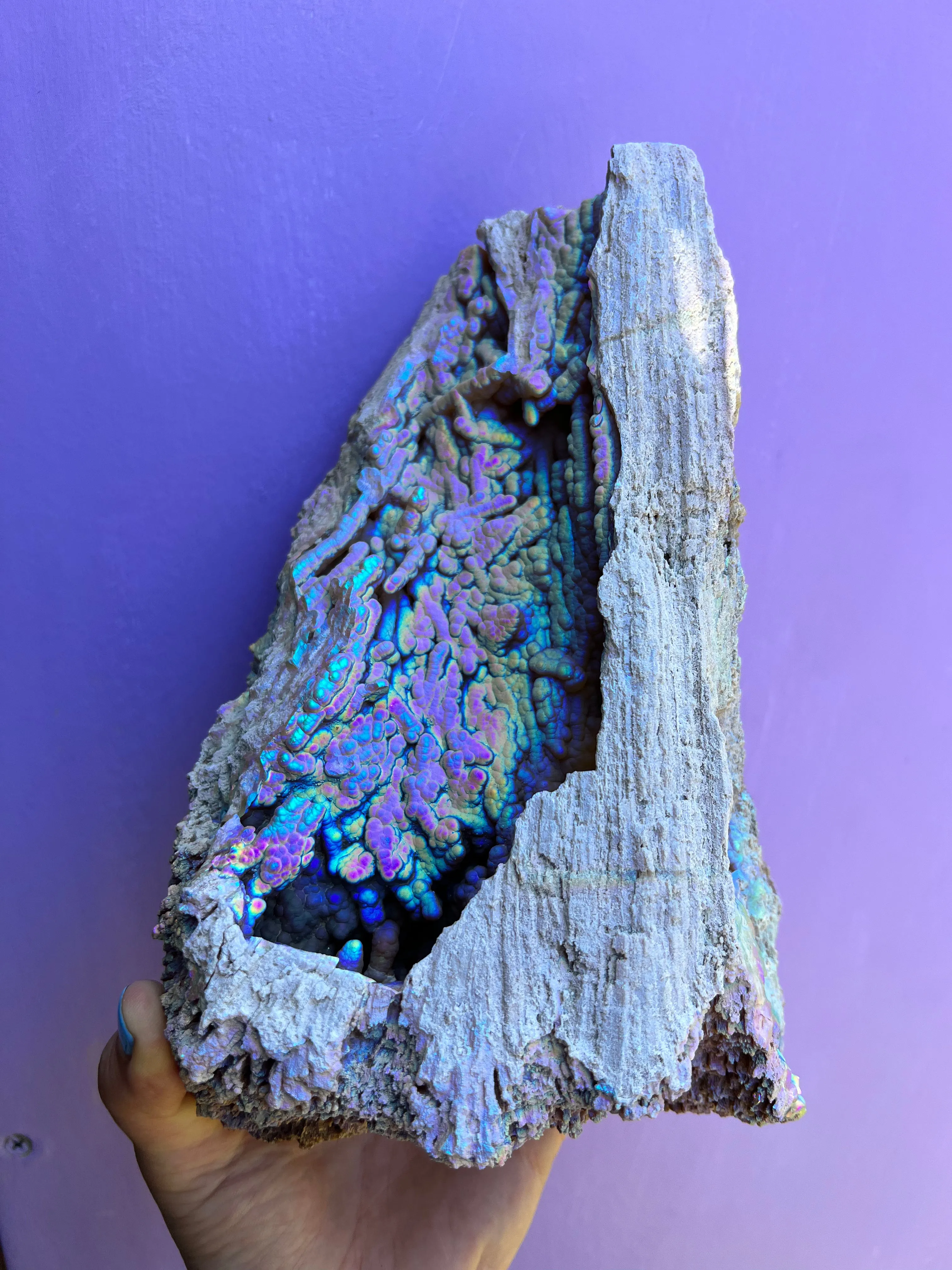 Aura FossilizedCoral no.4